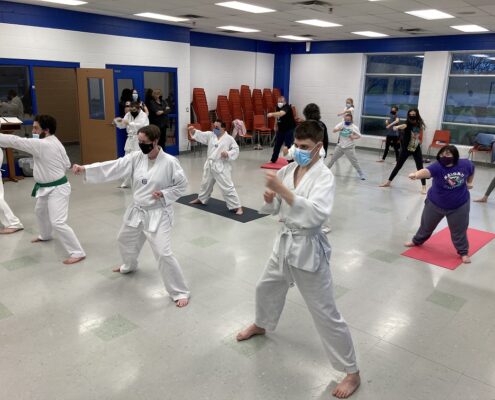 ICHA Taekwondo Participants practice their moves
